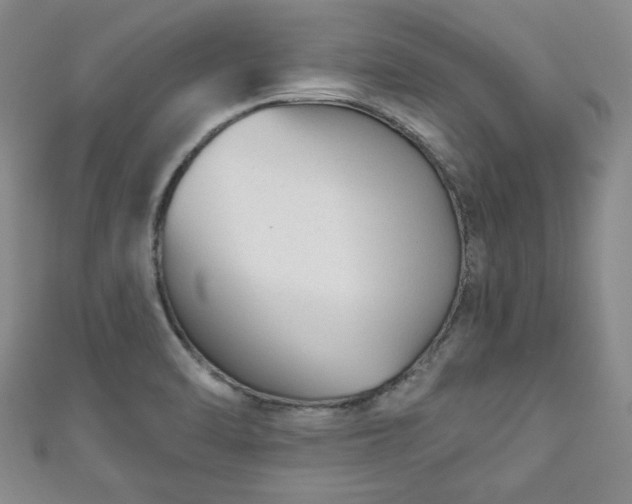 X0000111001470200906261448