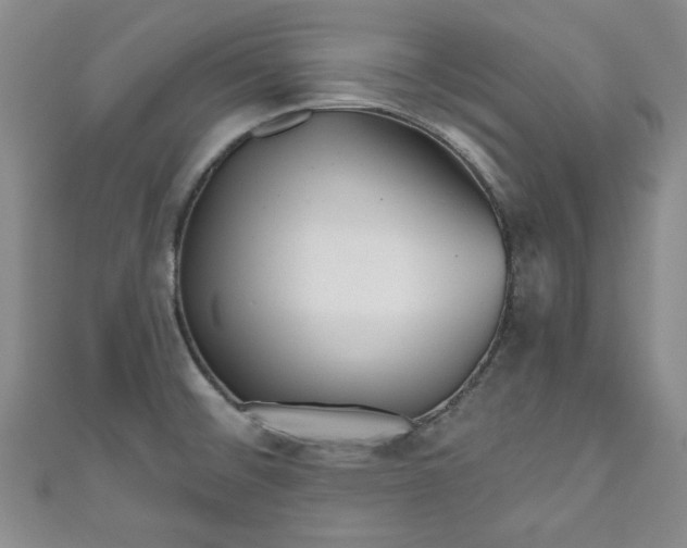 X0000111001476200906261448