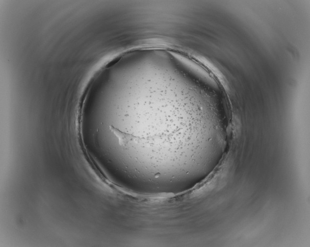 X0000111001477200906261448