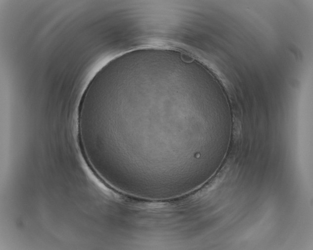 X0000111001479200906261448