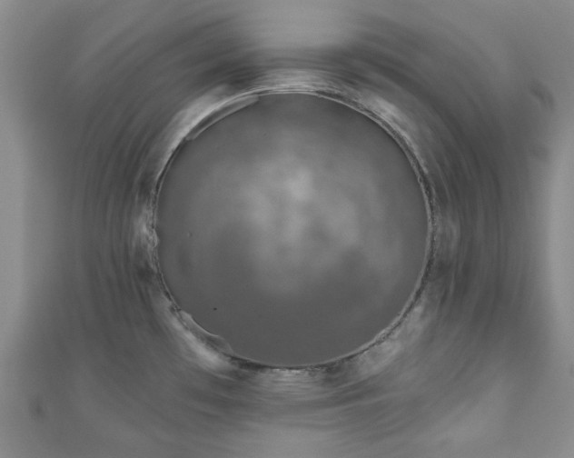 X0000111001481200906261448