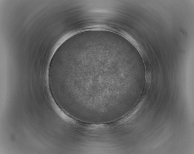 X0000111001482200906261448