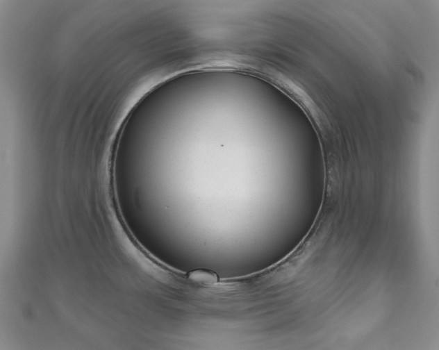 X0000111001483200906261448