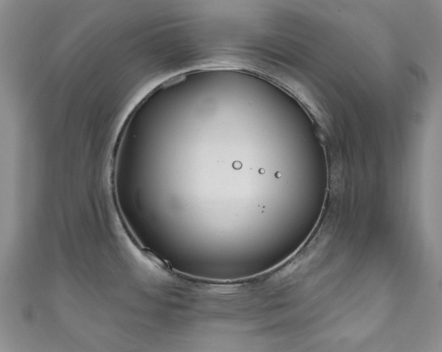 X0000111001484200906261448