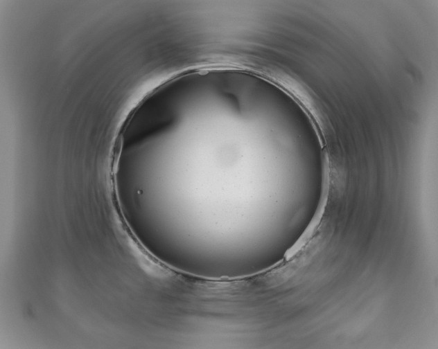 X0000111001485200906261448