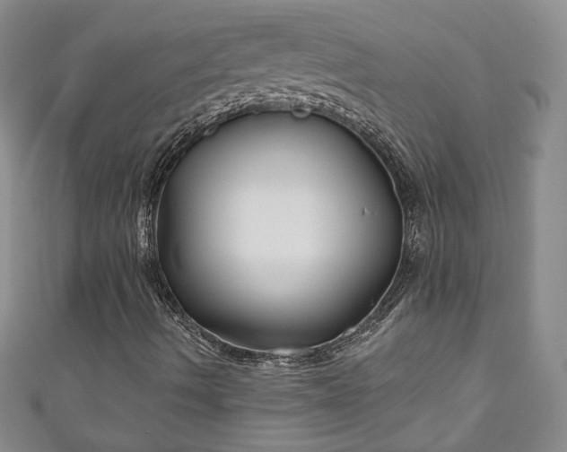 X0000111001490200906261447