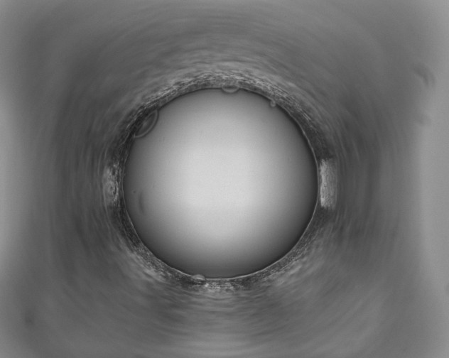 X0000111001491200906261447