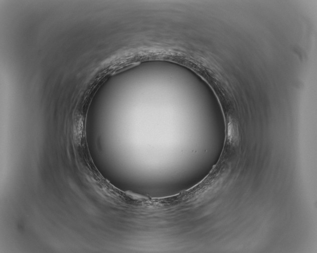 X0000111001492200906261447