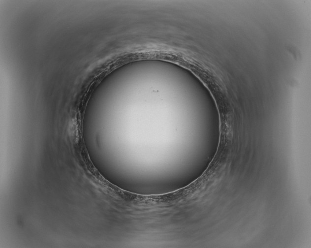 X0000111001493200906261447