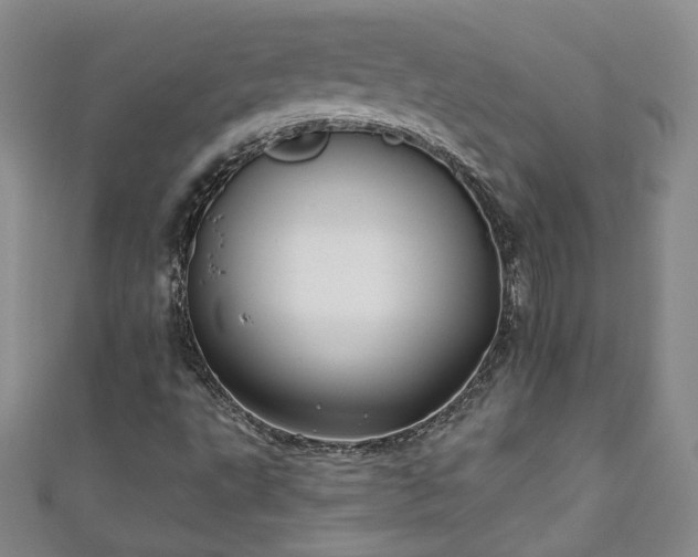 X0000111001495200906261447