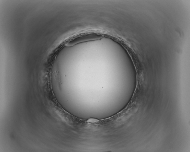 X0000111001496200906261447