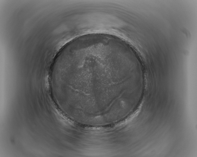 X0000111001497200906261447