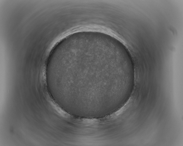 X0000111001498200906261447