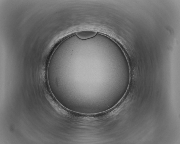 X0000111001499200906261447