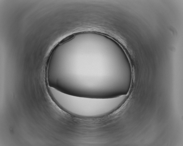 X0000111001500200906261447