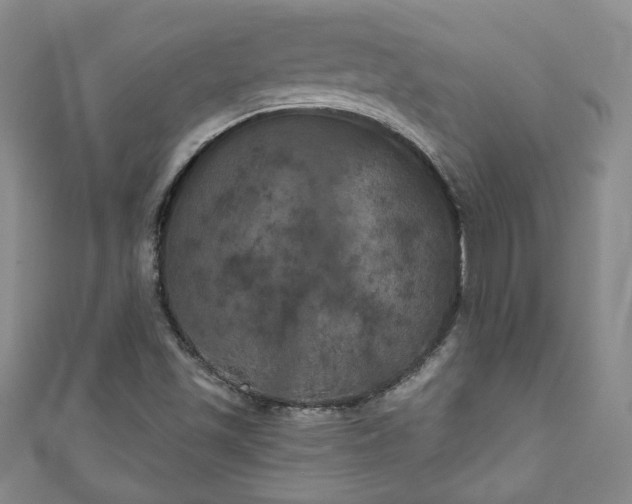 X0000111001501200906261447