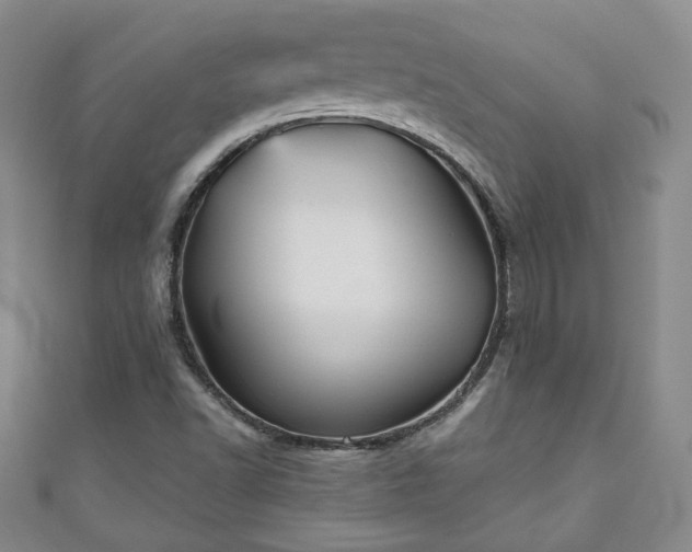 X0000111001502200906261447