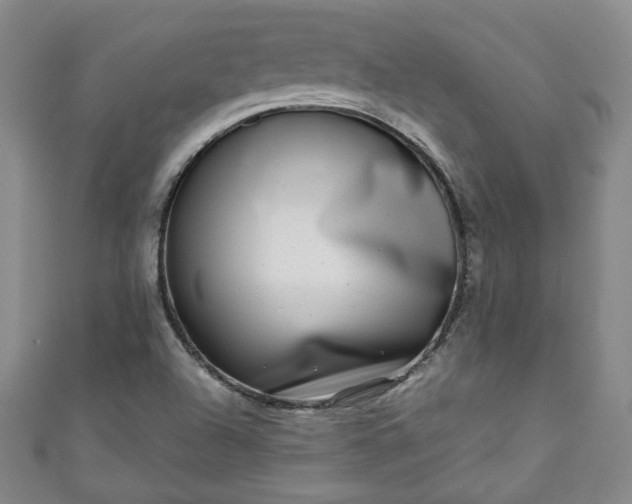 X0000111001504200906261447