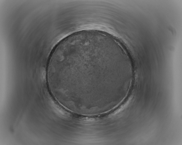 X0000111001505200906261447