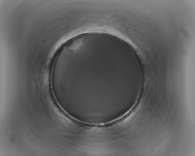 X0000111001506200906261448