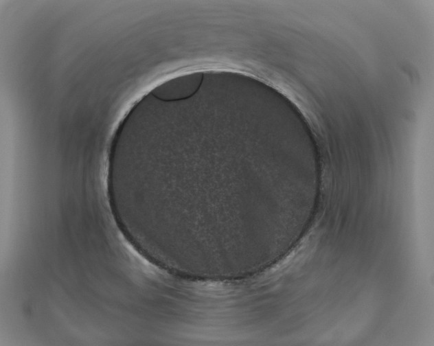 X0000111001508200906261448