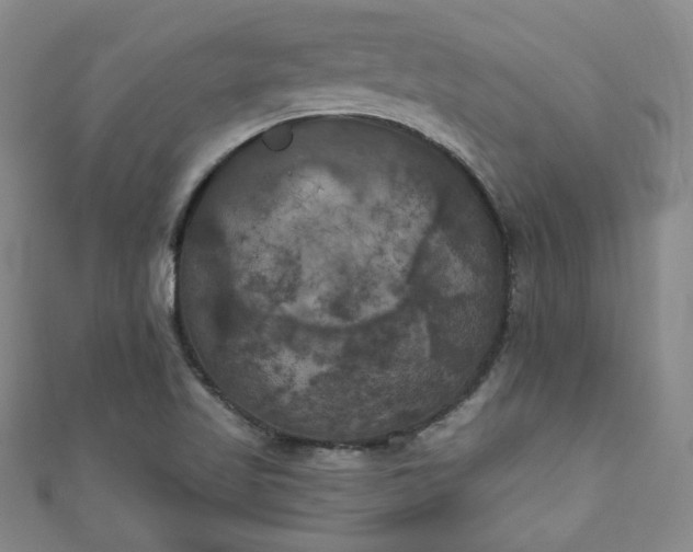 X0000111001509200906261448