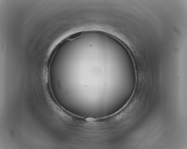 X0000111001510200906261448