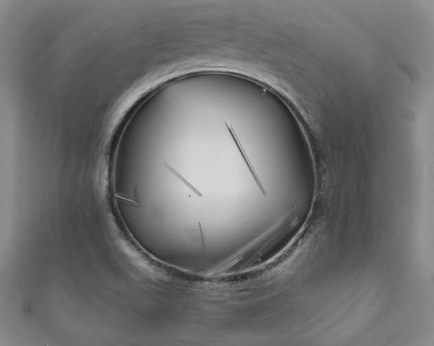 X0000111001511200906261448