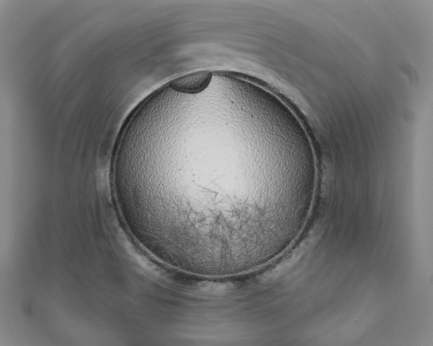 X0000111001513200906261448