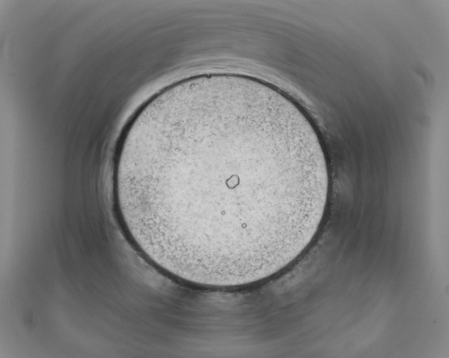 X0000111001514200906261448