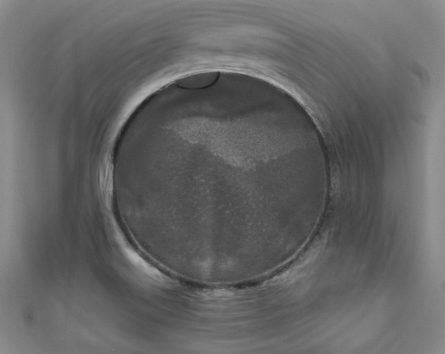 X0000111001515200906261448