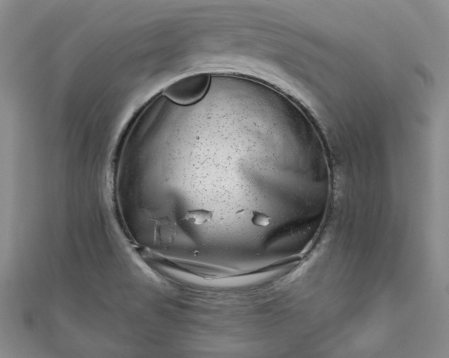 X0000111001517200906261448