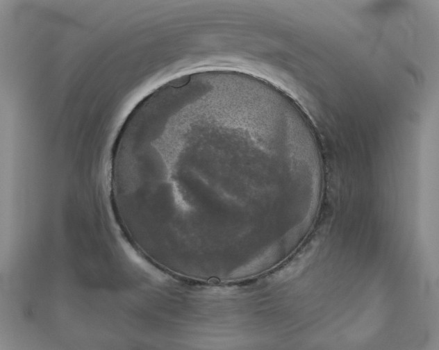 X0000111001519200906261448