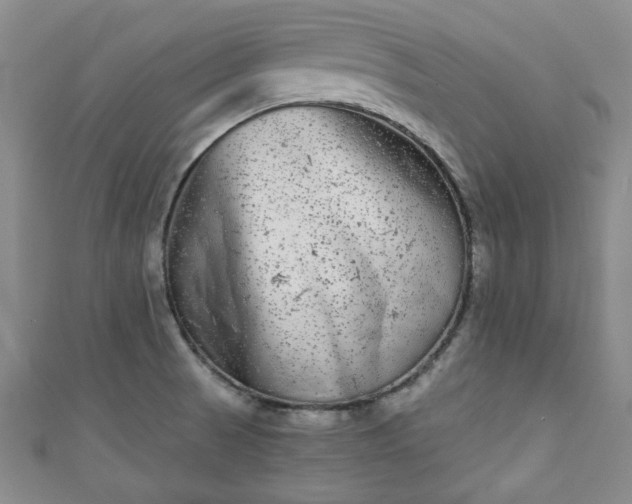 X0000111001521200906261448