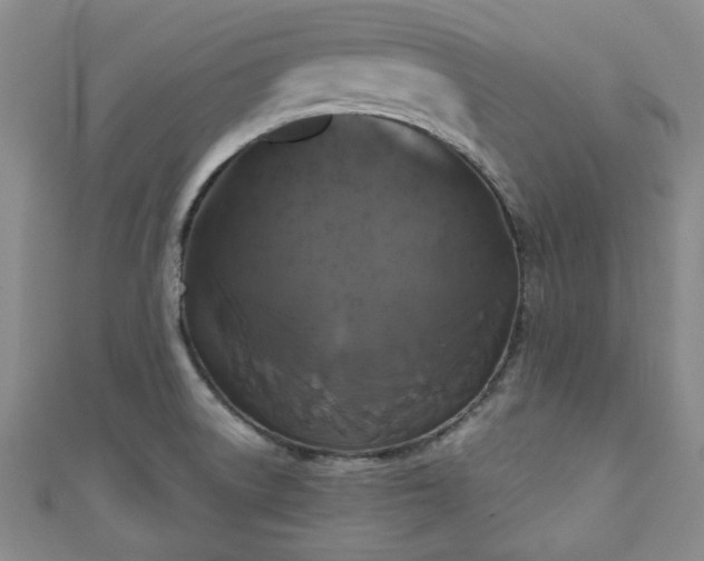 X0000111001522200906261448