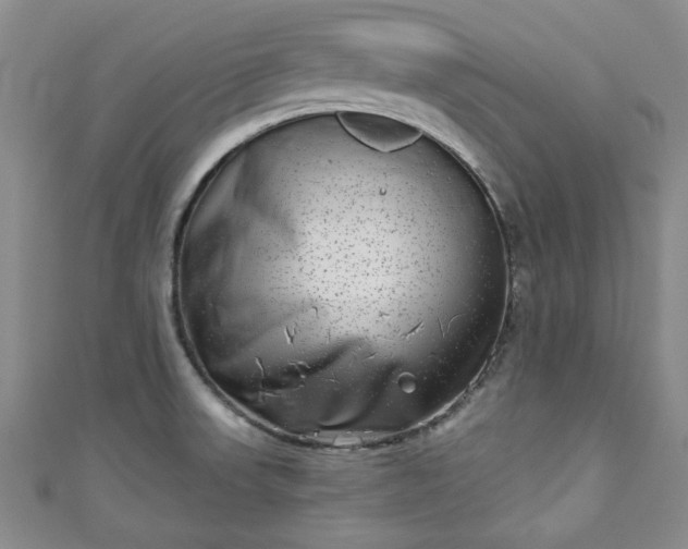 X0000111001523200906261448