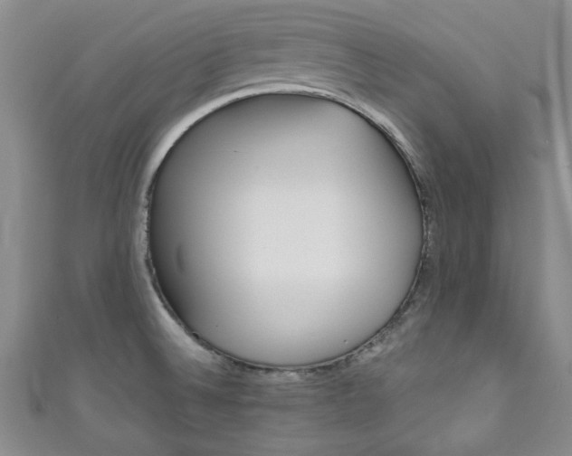 X0000111001524200906261448