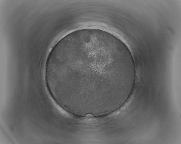 X0000111001525200906261448