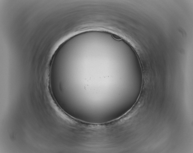 X0000111001526200906261448