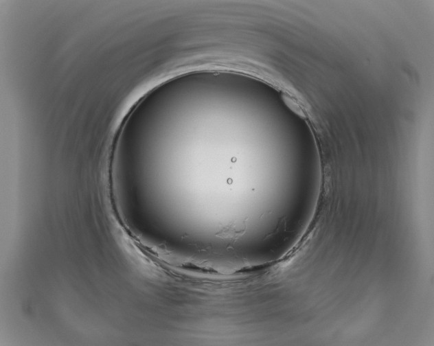 X0000111001530200906261448