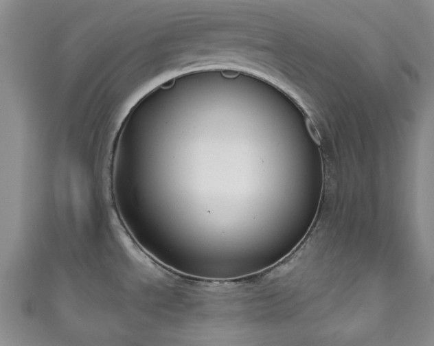 X0000111001534200906261448