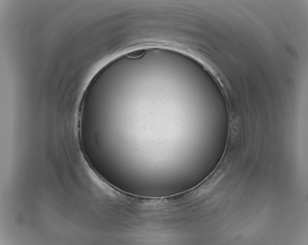 X0000111001535200906261448