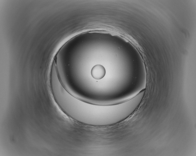 X0000111001536200906261448