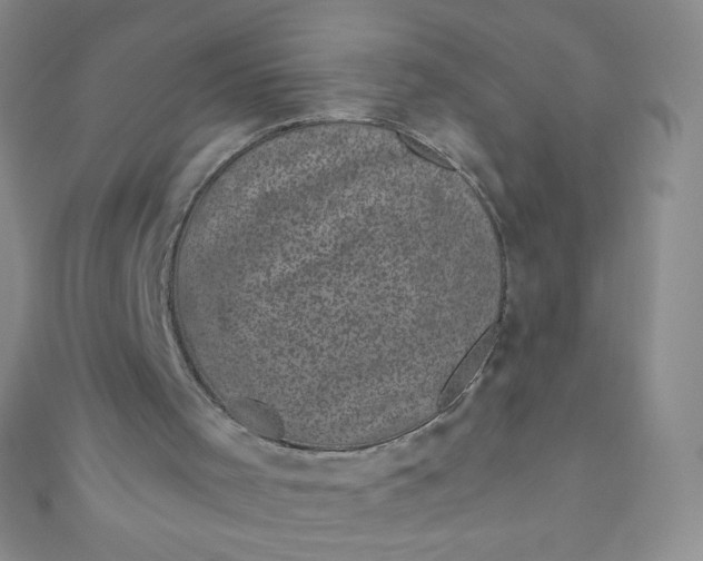 X0000111000001200907022147