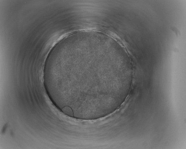 X0000111000002200907022147