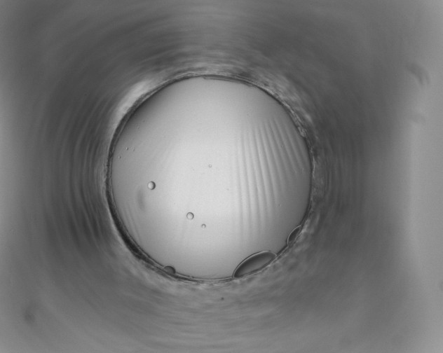 X0000111000003200907022147