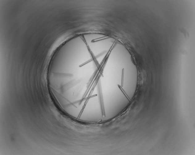 X0000111000004200907022147