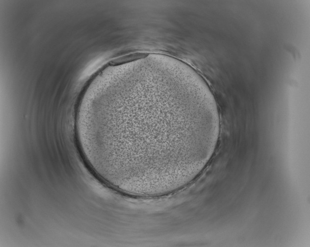 X0000111000005200907022147