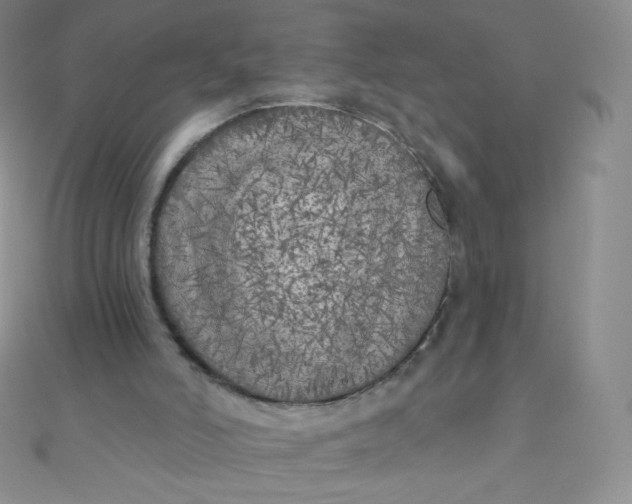 X0000111000006200907022147