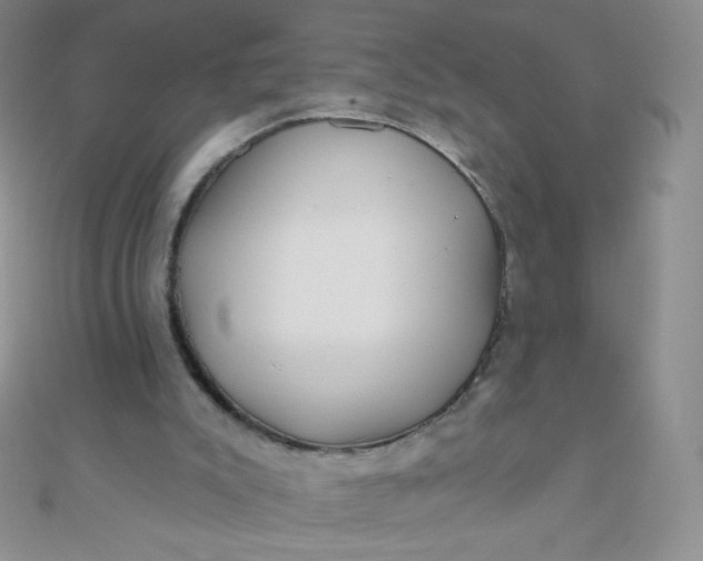 X0000111000007200907022147